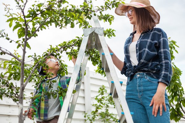 Magasin échelle : découvrez des modèles adaptés à vos besoins